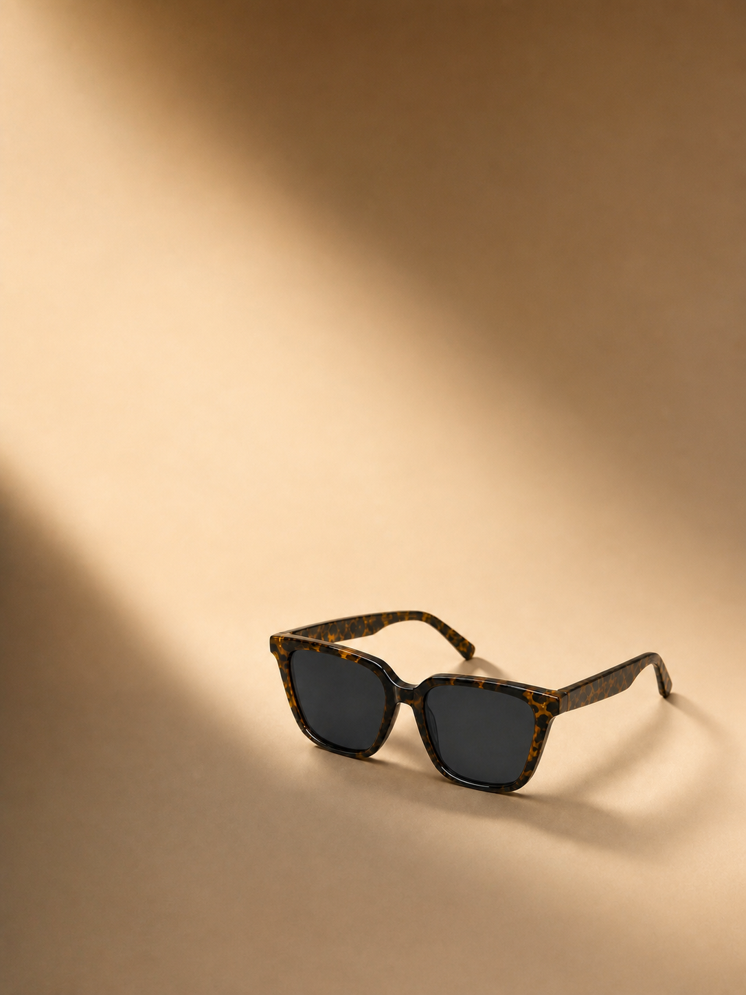 Havana sunglasses in a warm editorial studio scene